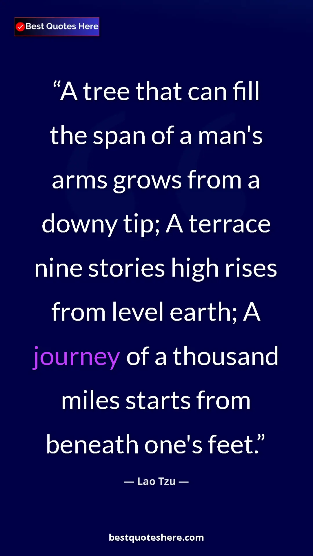 Pinterest quote poster by Lao Tzu: "A tree that can fill the span of a man's arms grows from a..."