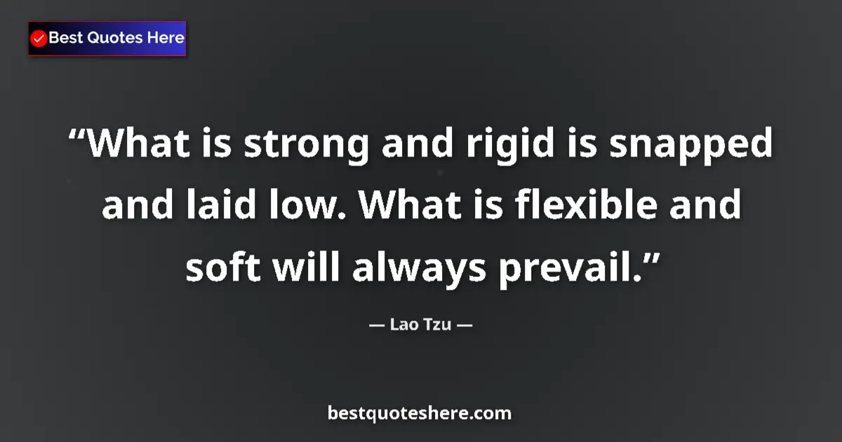 Quote by Lao Tzu: What is strong and rigid is snapped and laid low. What is flexible and soft will always prevail....