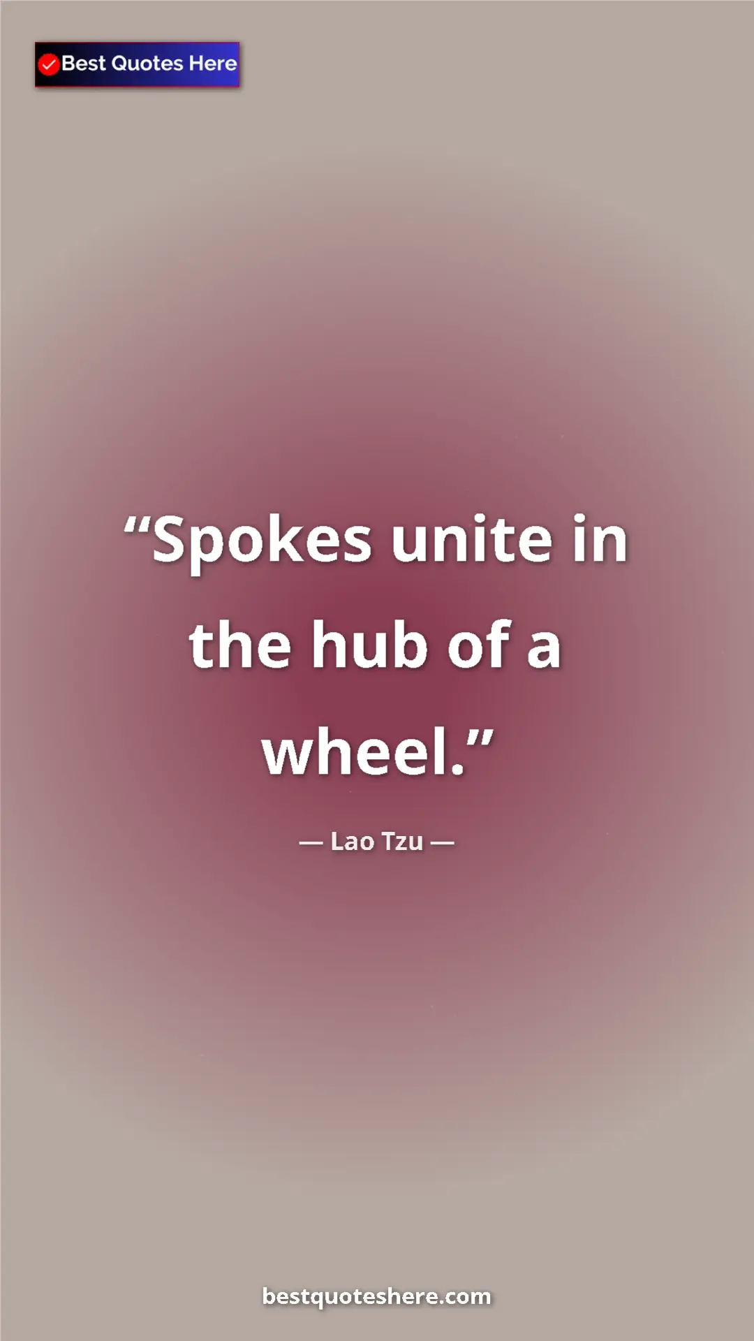 Pinterest quote poster by Lao Tzu: "Spokes unite in the hub of a wheel."