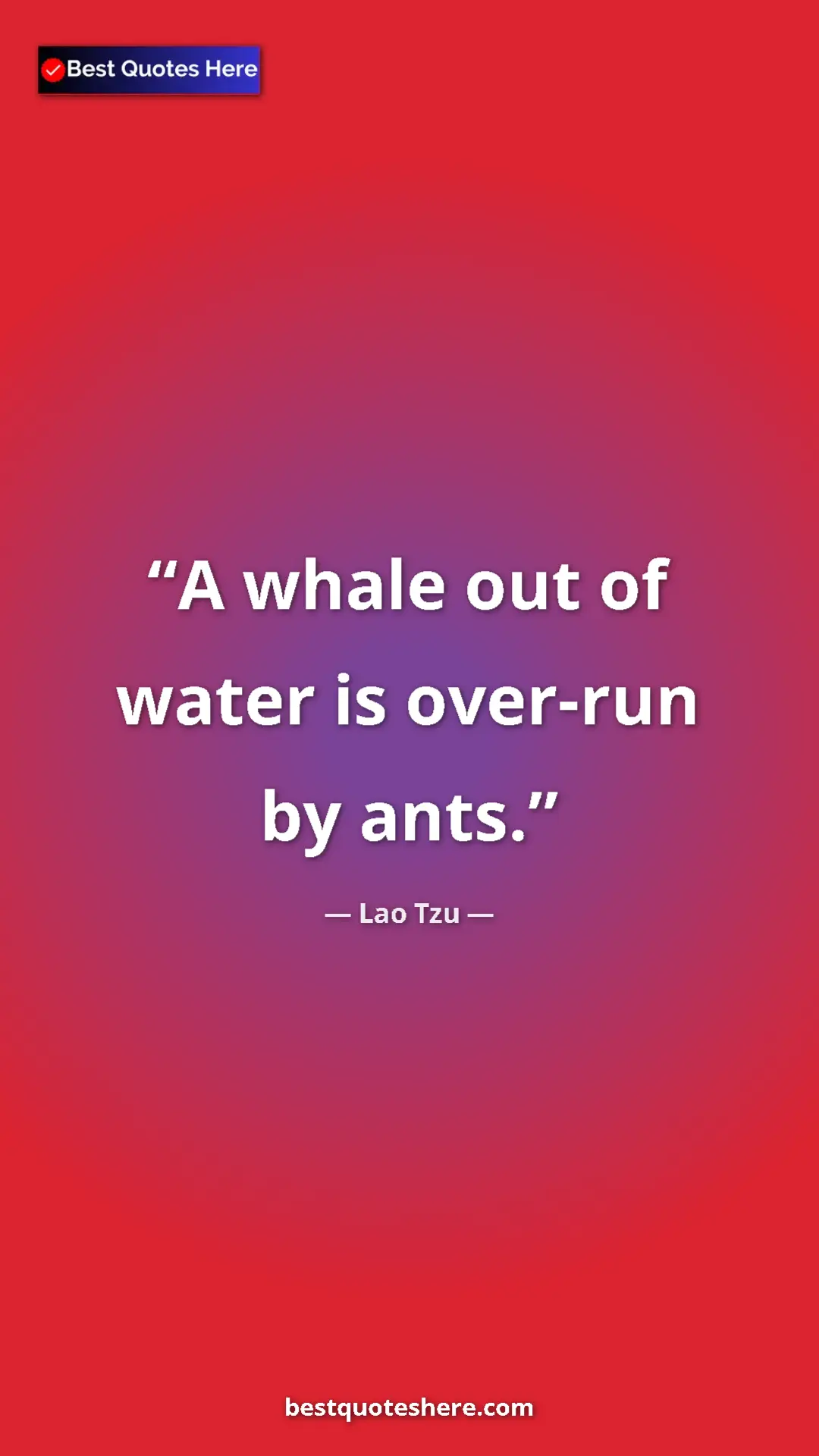 Pinterest quote poster by Lao Tzu: "A whale out of water is over-run by ants."