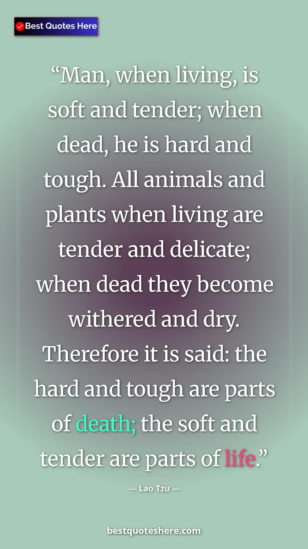 Lao Tzu Quote Card: "Man, when living, is soft and tender; when dead, he is hard..." Pinterest quote poster by Lao Tzu: "Man, when living, is soft and tender; when dead, he is hard..."