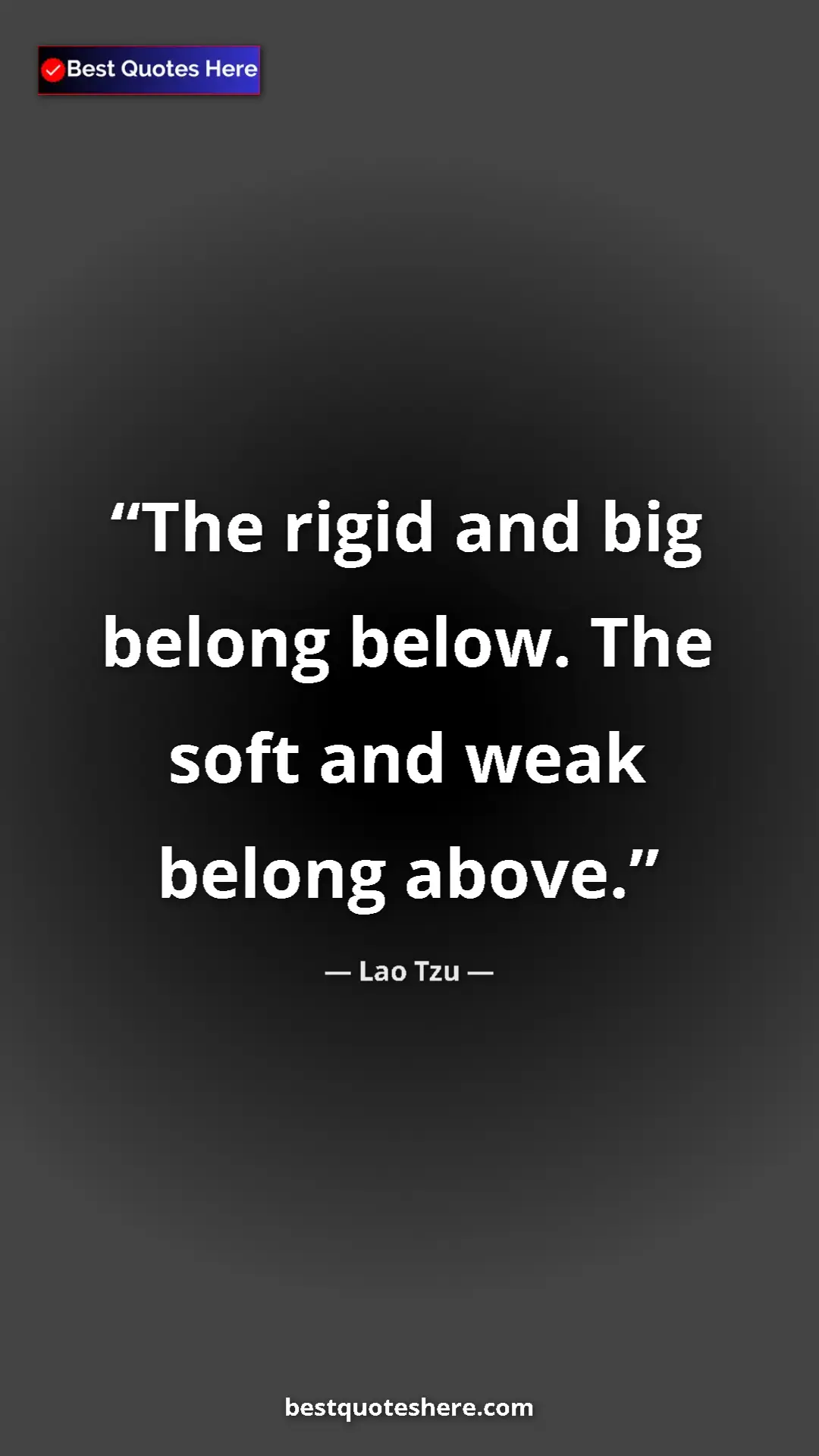 Pinterest quote poster by Lao Tzu: "The rigid and big belong below. The soft and weak belong..."