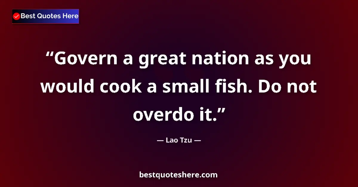 Quote by Lao Tzu: Govern a great nation as you would cook a small fish. Do not overdo it....