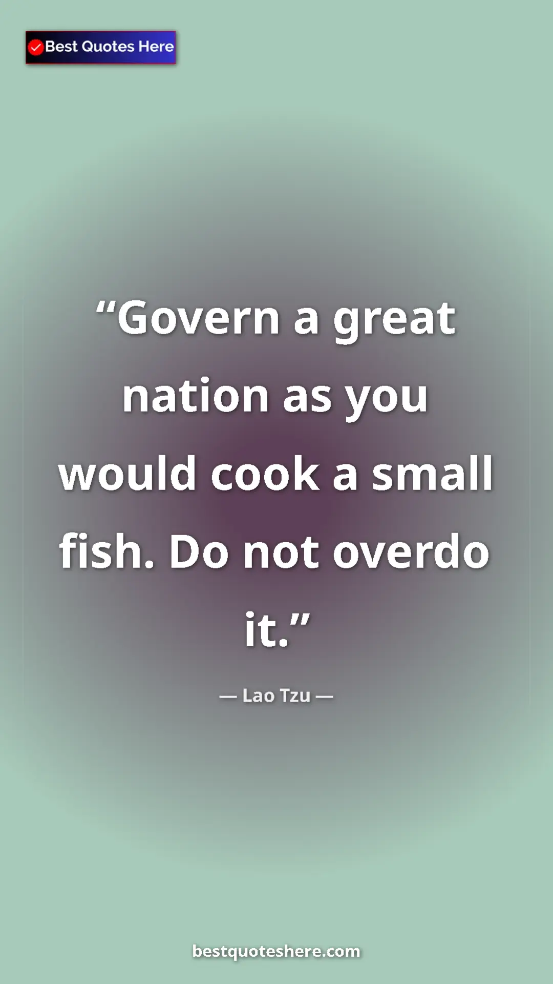 Pinterest quote poster by Lao Tzu: "Govern a great nation as you would cook a small fish. Do..."
