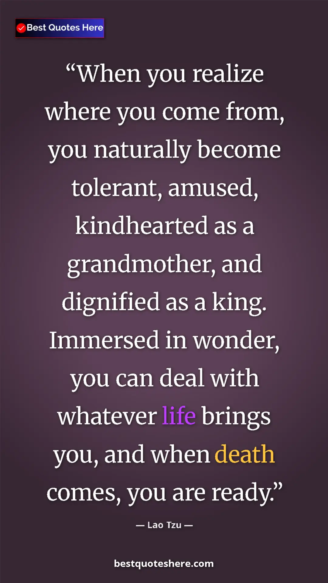 Pinterest quote poster by Lao Tzu: "When you realize where you come from, you naturally become..."