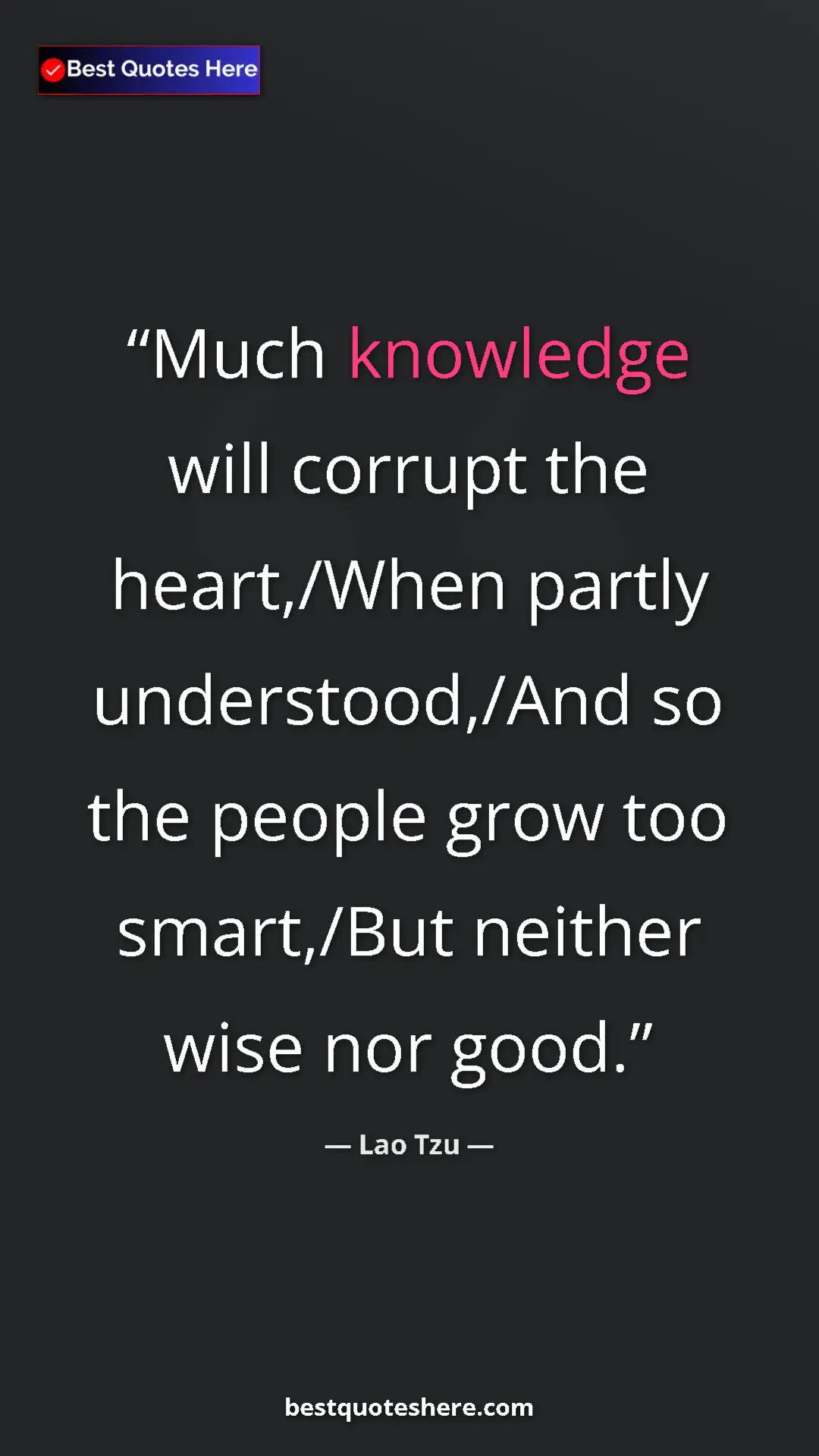 Pinterest quote poster by Lao Tzu: "Much knowledge will corrupt the heart,/When partly..."