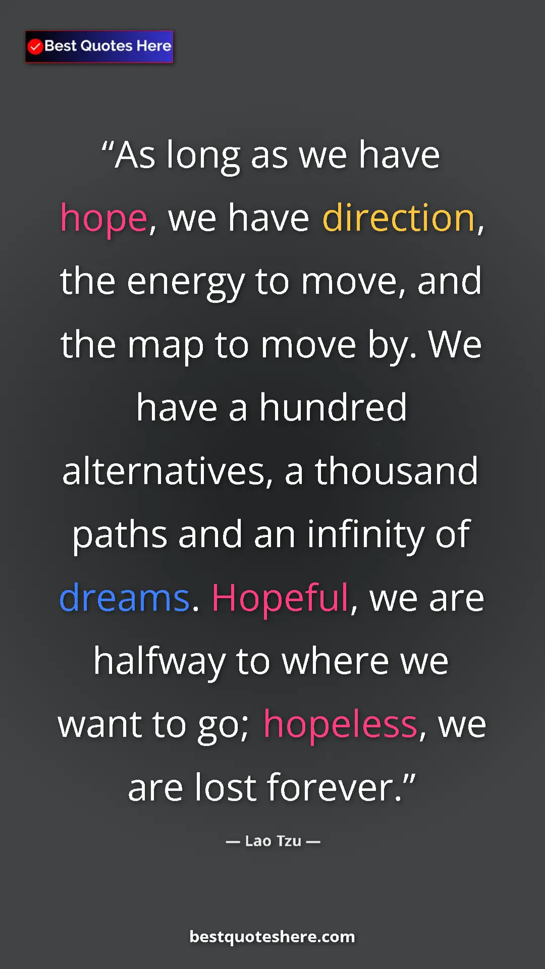 Pinterest quote poster by Lao Tzu: "As long as we have hope, we have direction, the energy to..."
