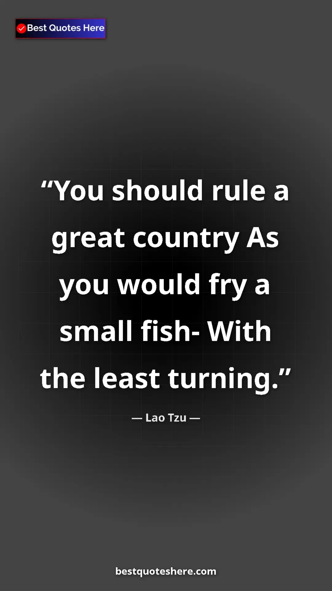 Pinterest quote poster by Lao Tzu: "You should rule a great country As you would fry a small..."