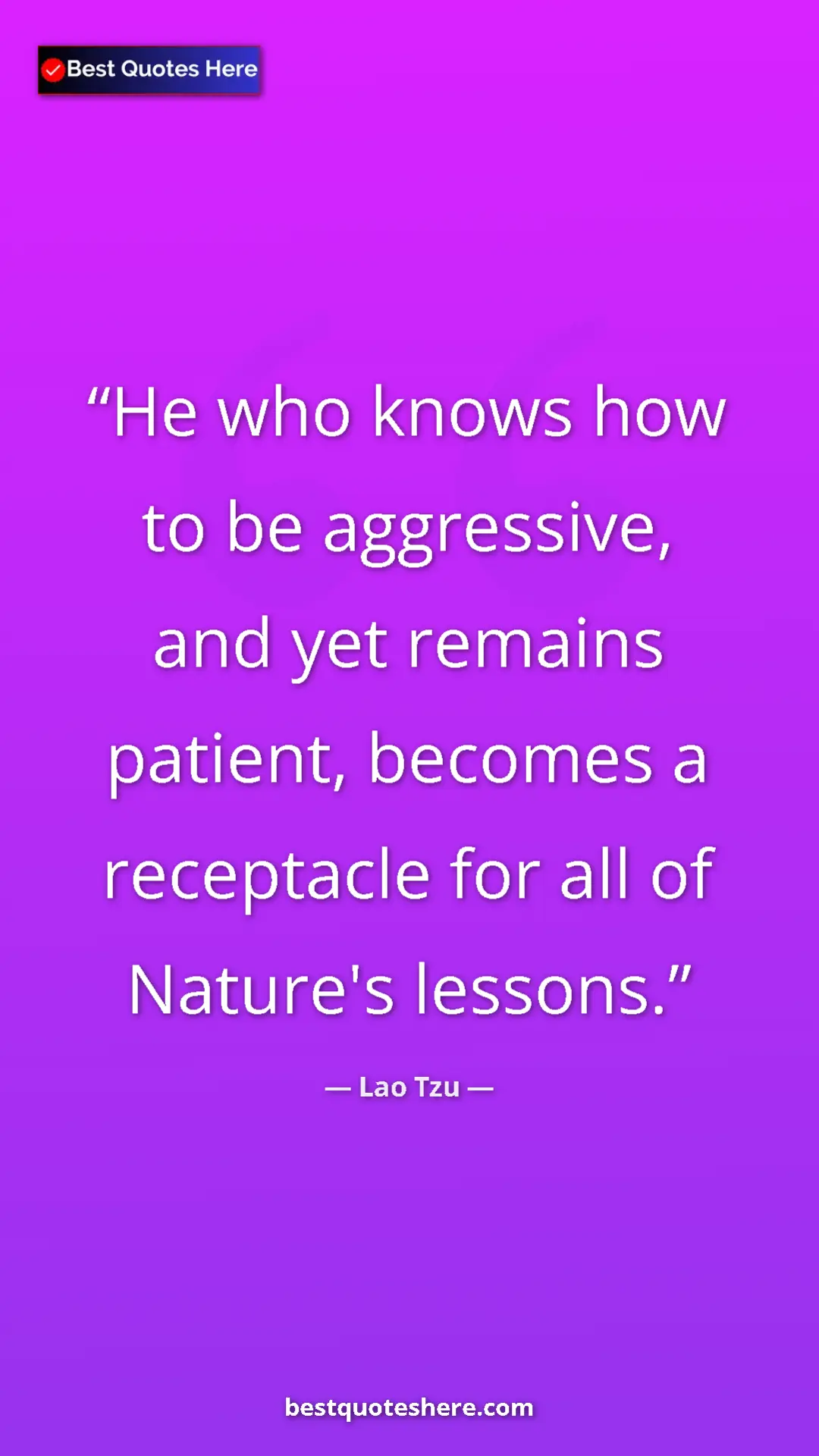 Pinterest quote poster by Lao Tzu: "He who knows how to be aggressive, and yet remains patient,..."