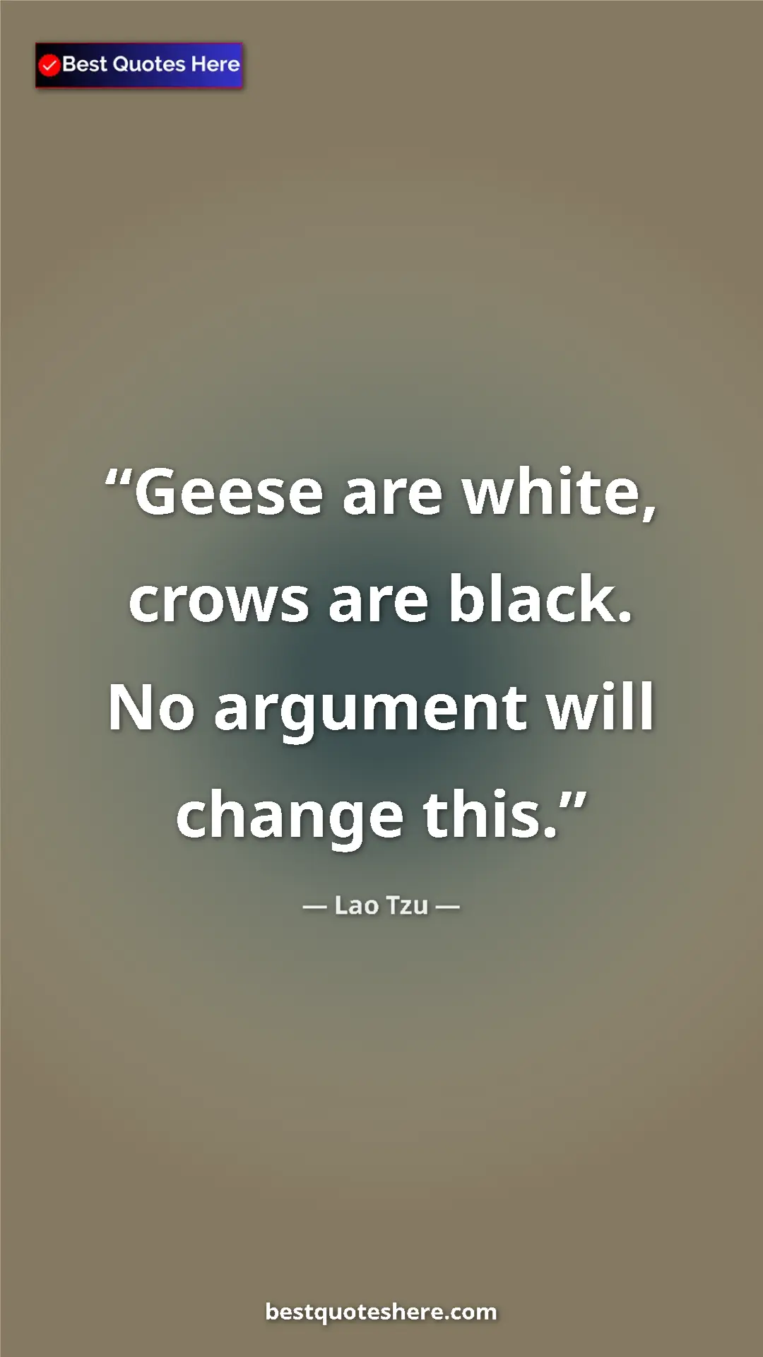 Pinterest quote poster by Lao Tzu: "Geese are white, crows are black. No argument will change..."