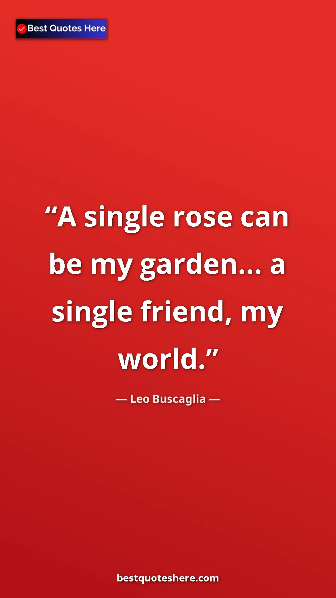 Pinterest quote poster by Leo Buscaglia: "A single rose can be my garden... a single friend, my world."