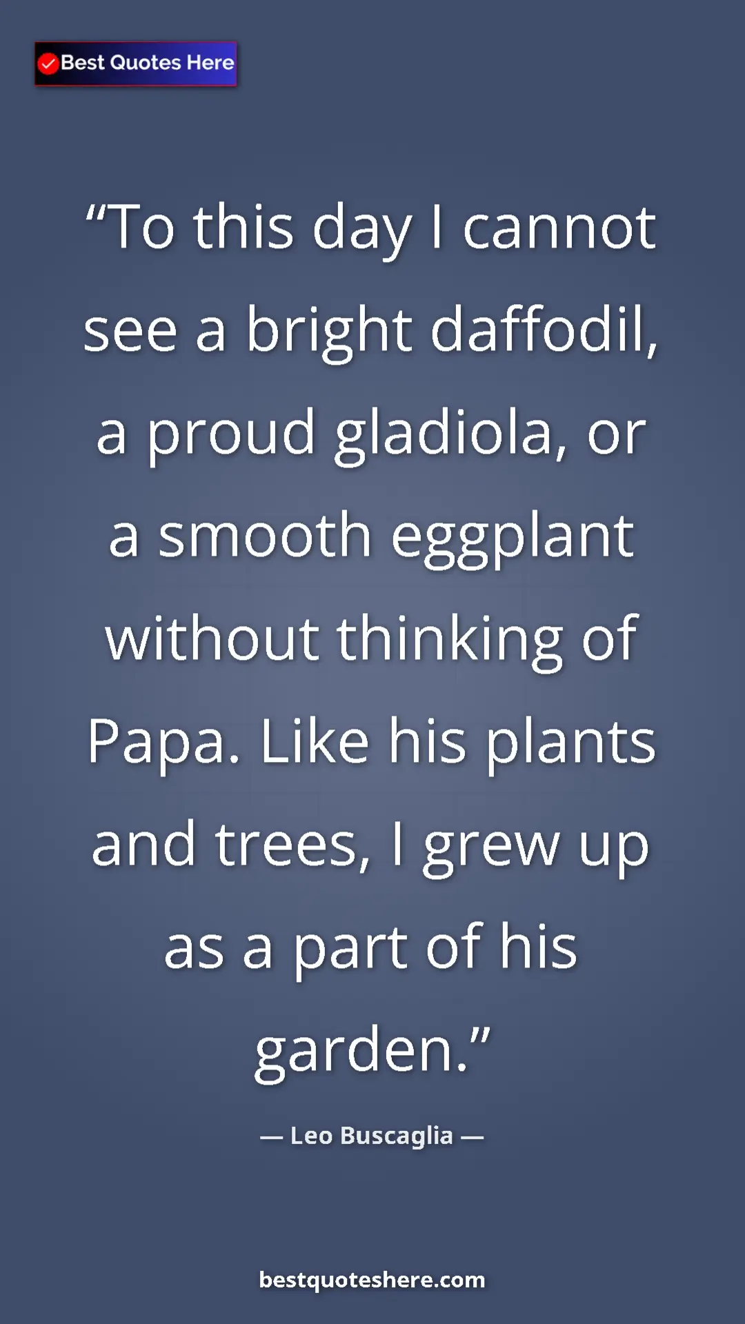 Pinterest quote poster by Leo Buscaglia: "To this day I cannot see a bright daffodil, a proud..."