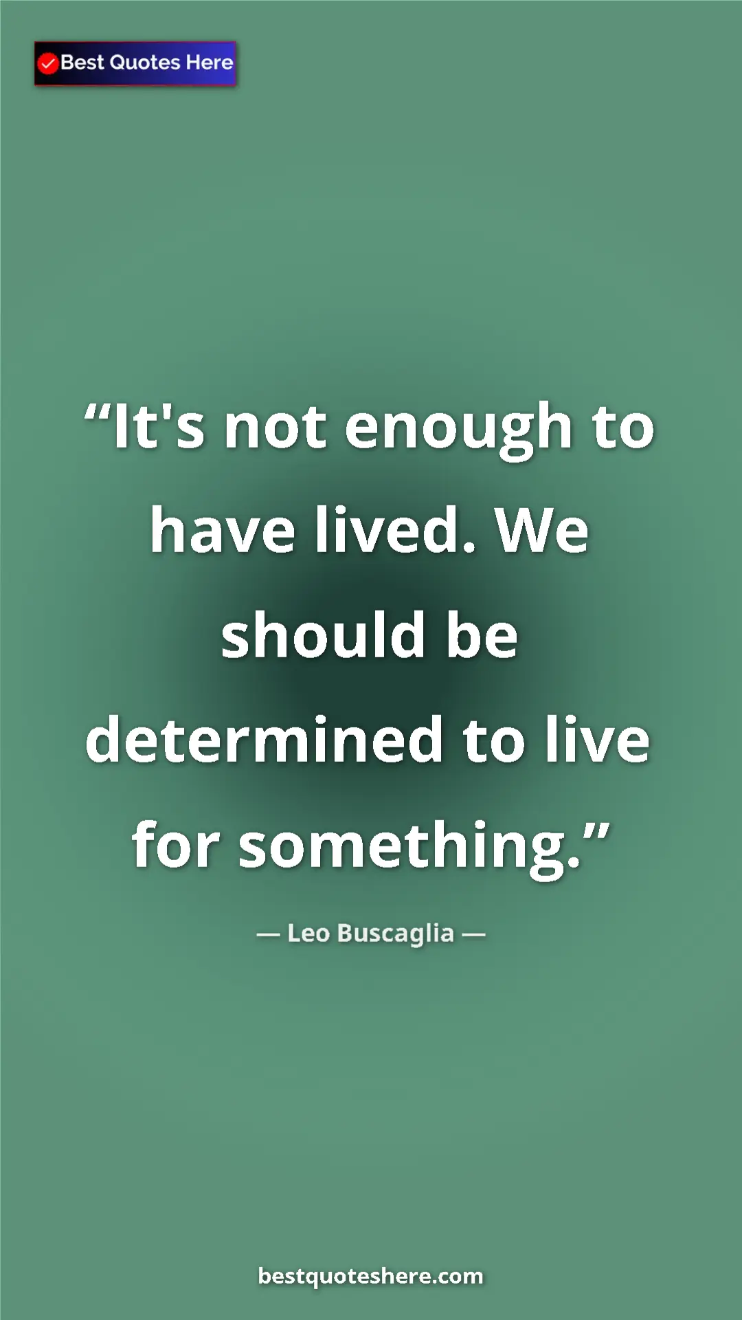 Pinterest quote poster by Leo Buscaglia: "It's not enough to have lived. We should be determined to..."