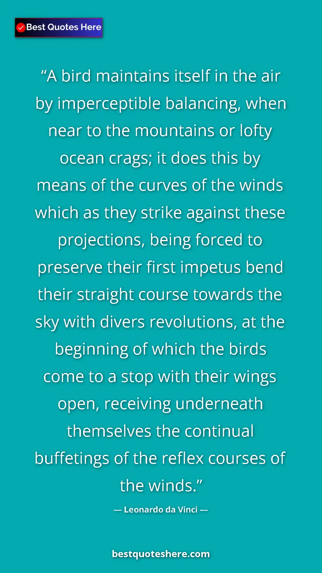 Pinterest quote poster by Leonardo da Vinci: "A bird maintains itself in the air by imperceptible..."
