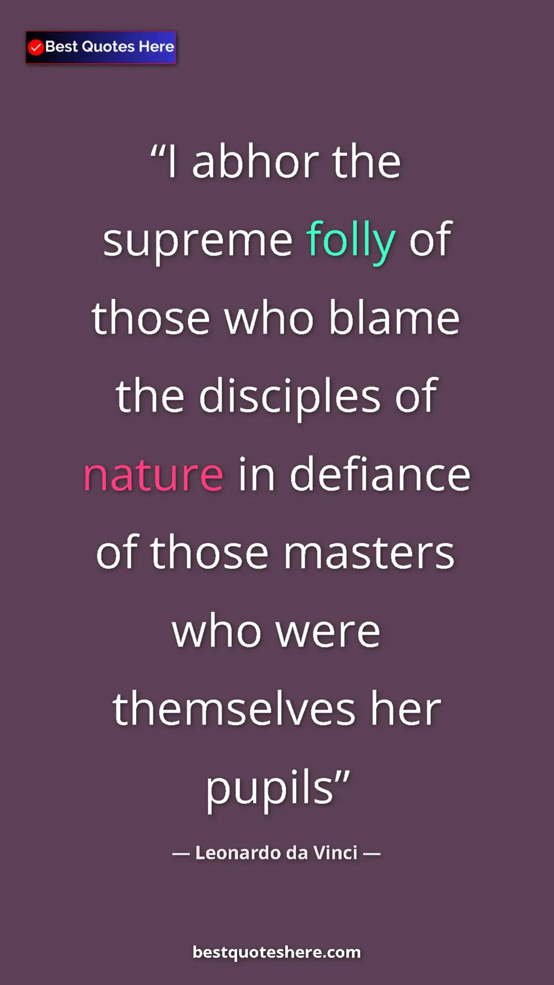 Pinterest quote poster by Leonardo da Vinci: "I abhor the supreme folly of those who blame the disciples..."