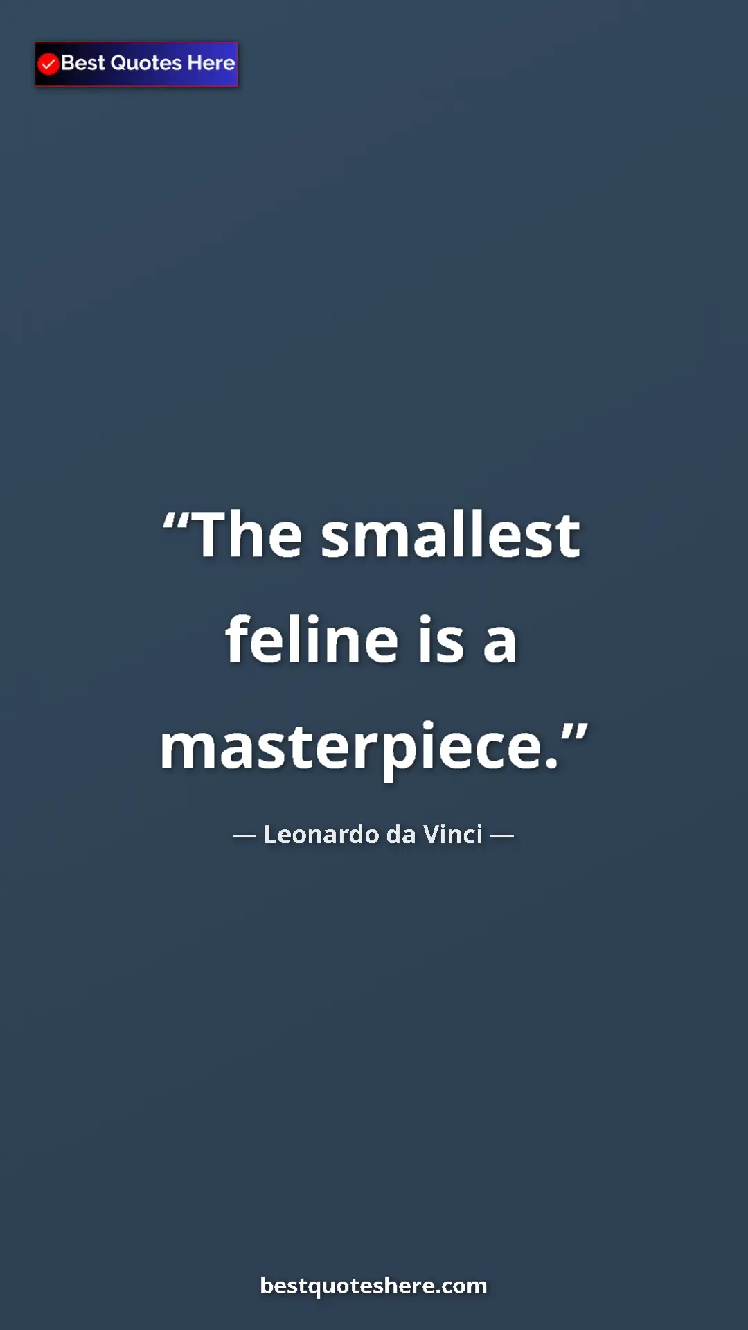 Leonardo da Vinci Quote Card: "The smallest feline is a masterpiece." Pinterest quote poster by Leonardo da Vinci: "The smallest feline is a masterpiece."