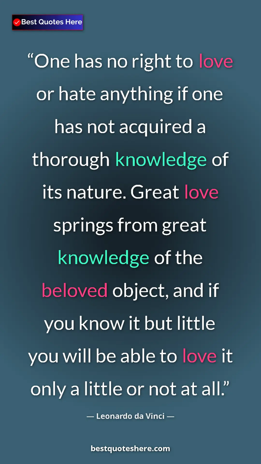 Pinterest quote poster by Leonardo da Vinci: "One has no right to love or hate anything if one has not..."