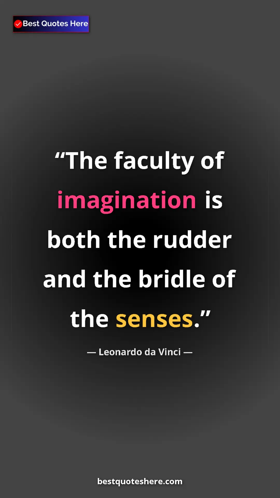 Pinterest quote poster by Leonardo da Vinci: "The faculty of imagination is both the rudder and the..."