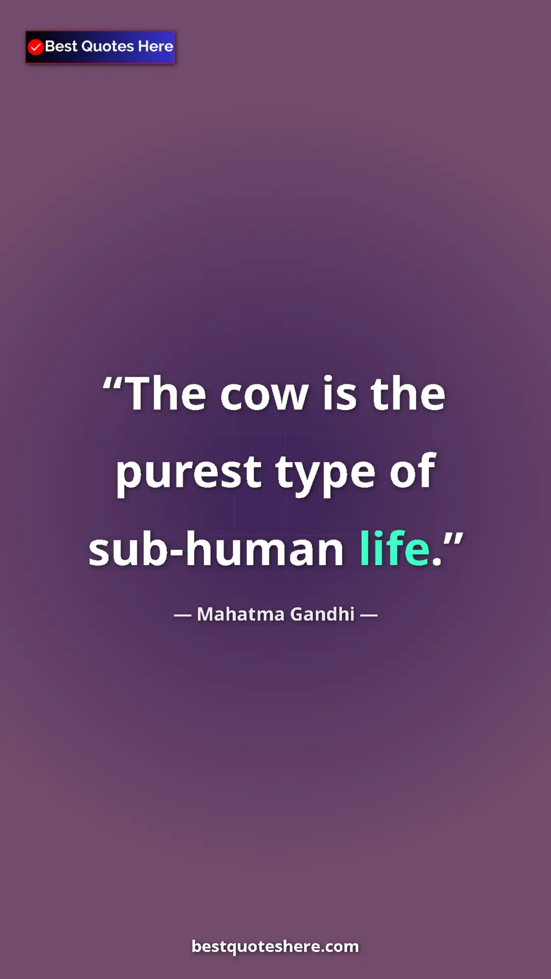 Mahatma Gandhi Quote Card: "The cow is the purest type of sub-human life." Pinterest quote poster by Mahatma Gandhi: "The cow is the purest type of sub-human life."