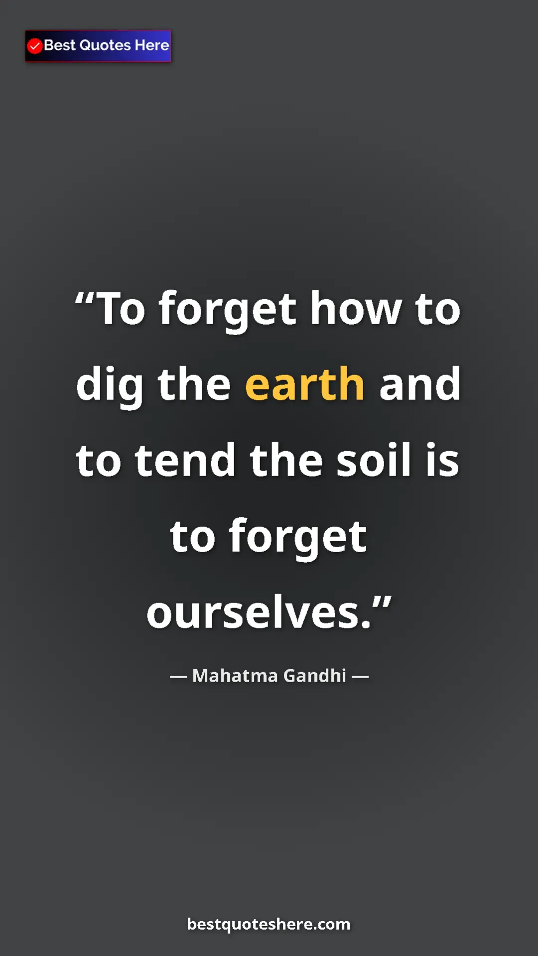 Pinterest quote poster by Mahatma Gandhi: "To forget how to dig the earth and to tend the soil is to..."