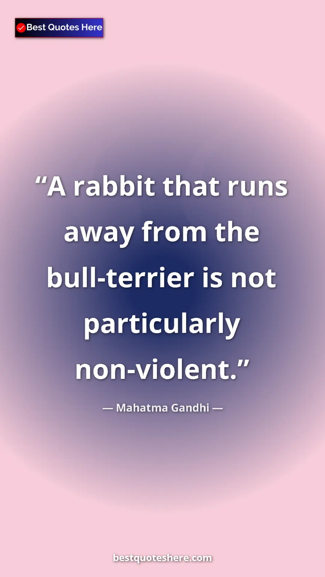 Pinterest quote poster by Mahatma Gandhi: "A rabbit that runs away from the bull-terrier is not..."