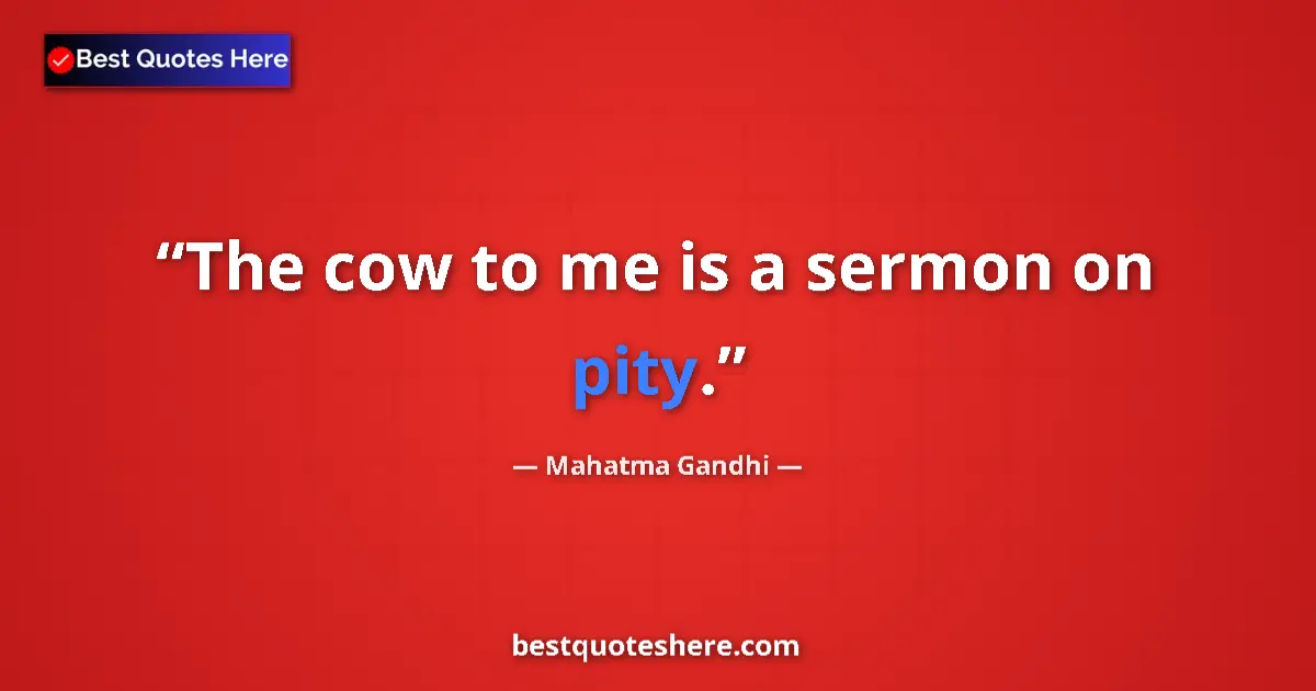 Quote by Mahatma Gandhi: The cow to me is a sermon on pity....