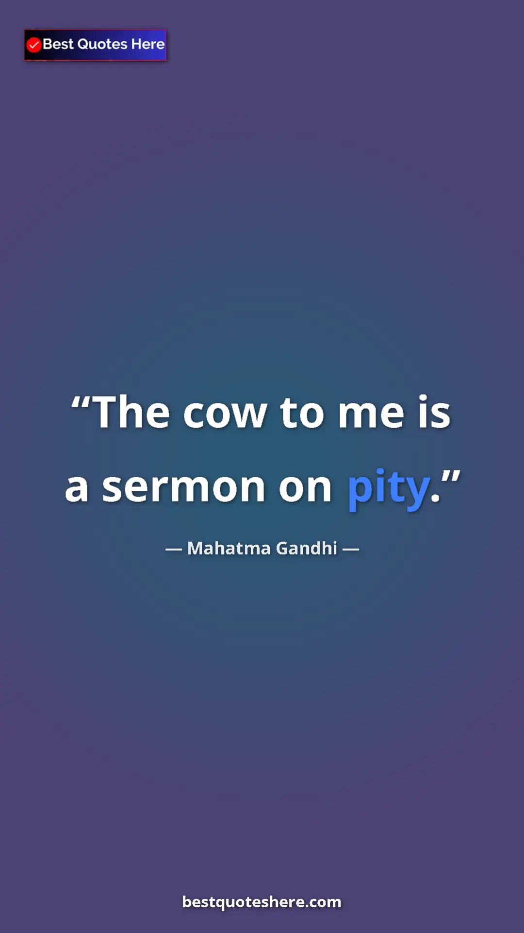 Mahatma Gandhi Quote Card: "The cow to me is a sermon on pity." Pinterest quote poster by Mahatma Gandhi: "The cow to me is a sermon on pity."