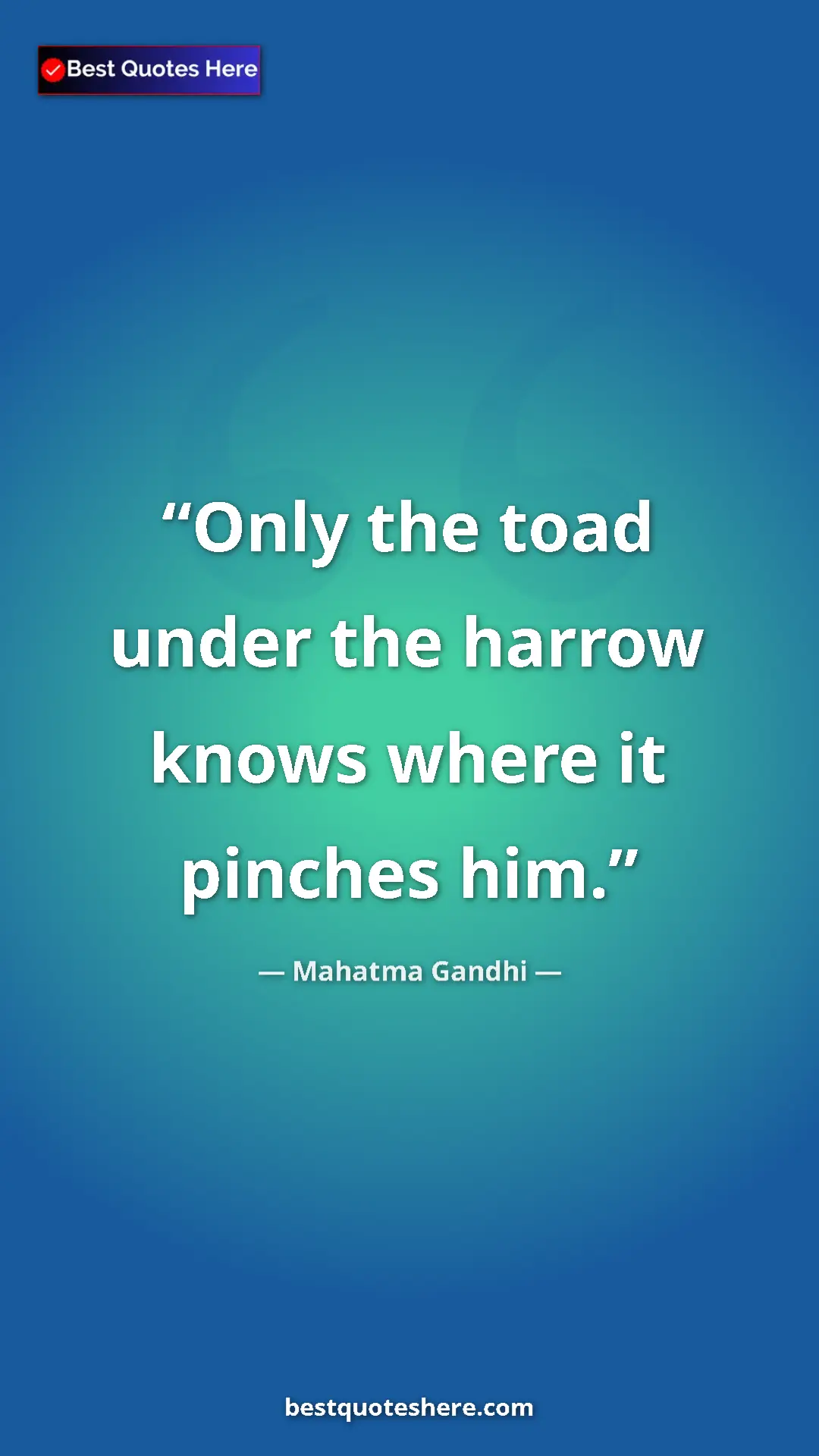 Pinterest quote poster by Mahatma Gandhi: "Only the toad under the harrow knows where it pinches him."
