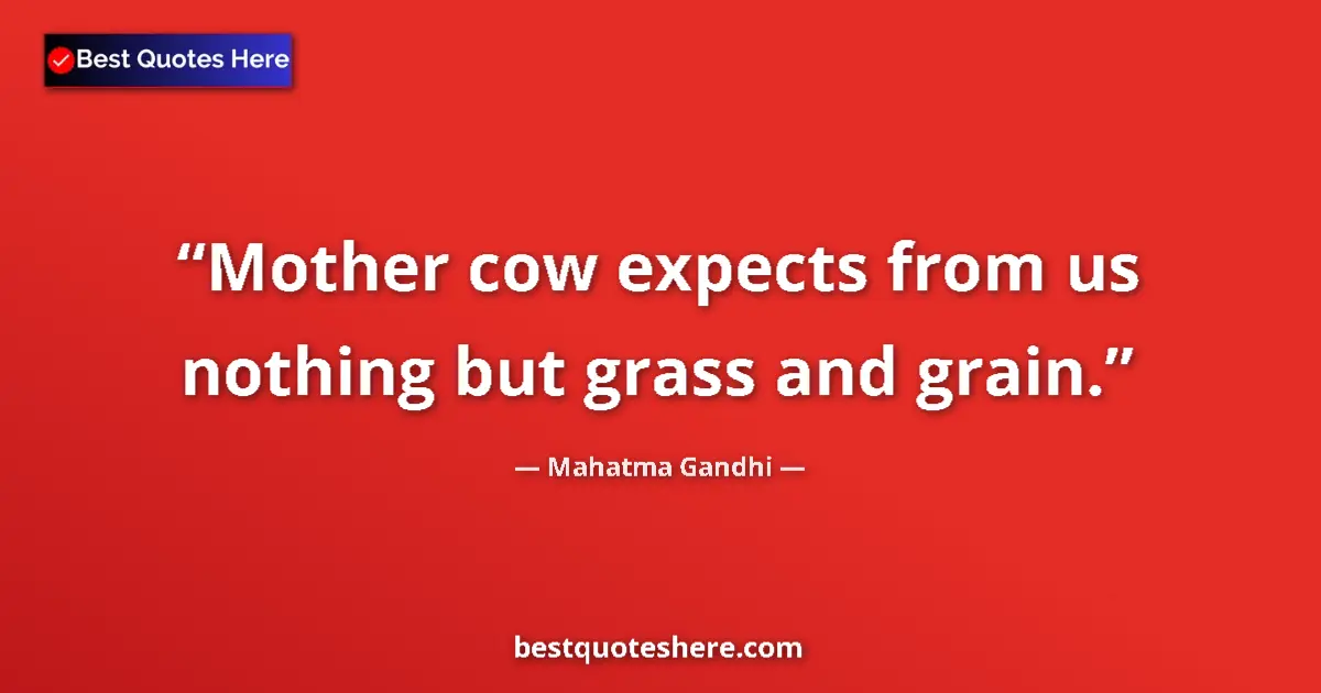 Quote by Mahatma Gandhi: Mother cow expects from us nothing but grass and g
