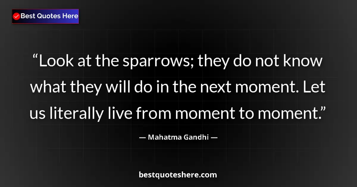 Quote by Mahatma Gandhi: Look at the sparrows; they do not know what they w