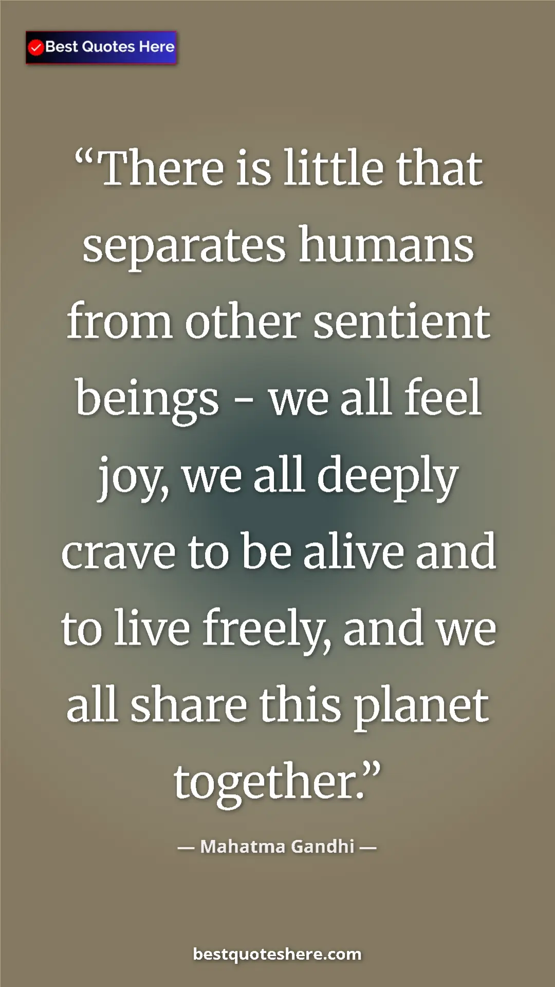 Mahatma Gandhi Quote Card: "There is little that separates humans from other sentient..." Pinterest quote poster by Mahatma Gandhi: "There is little that separates humans from other sentient..."