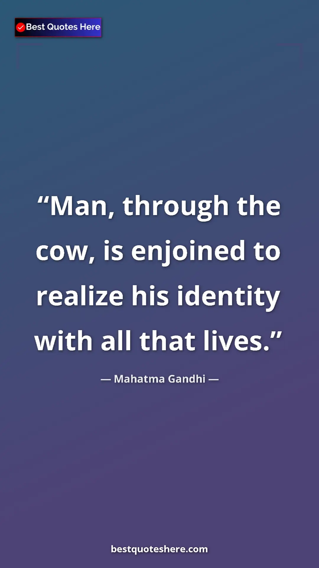 Mahatma Gandhi Quote Card: "Man, through the cow, is enjoined to realize his identity..." Pinterest quote poster by Mahatma Gandhi: "Man, through the cow, is enjoined to realize his identity..."
