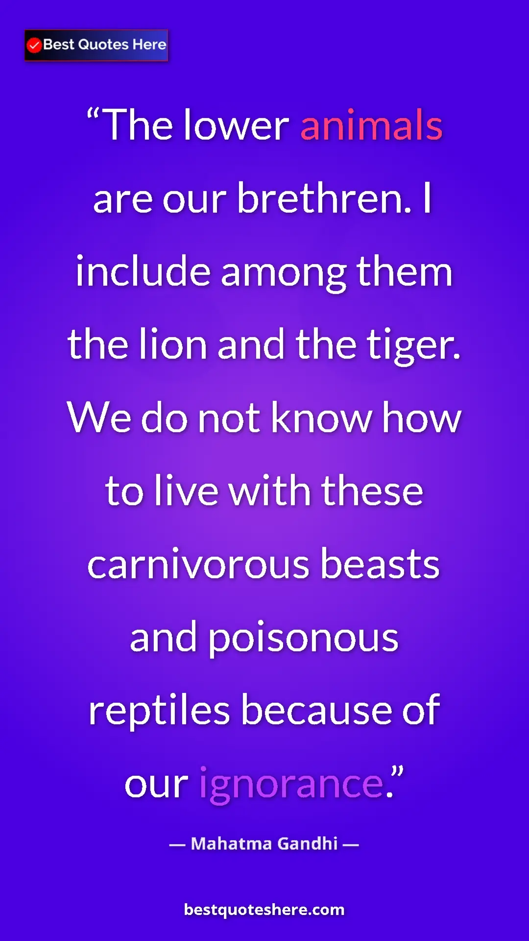 Mahatma Gandhi Quote Card: "The lower animals are our brethren. I include among them..." Pinterest quote poster by Mahatma Gandhi: "The lower animals are our brethren. I include among them..."