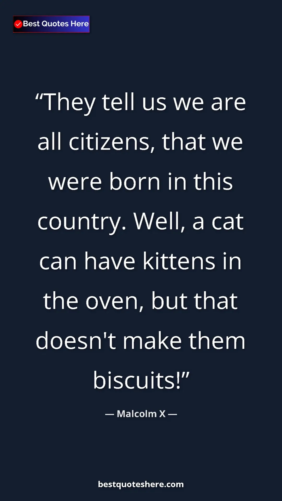 Malcolm X Quote Card: "They tell us we are all citizens, that we were born in this..." Pinterest quote poster by Malcolm X: "They tell us we are all citizens, that we were born in this..."