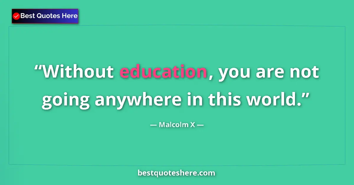 Quote by Malcolm X: Without education, you are not going anywhere in this world....