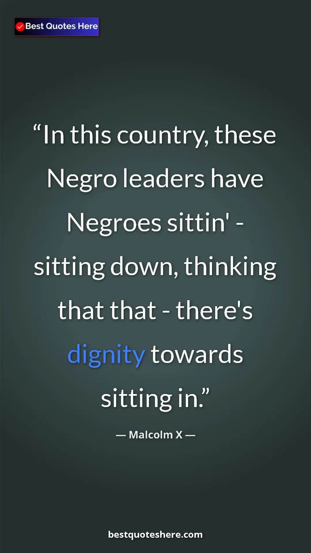 Pinterest quote poster by Malcolm X: "In this country, these Negro leaders have Negroes sittin' -..."
