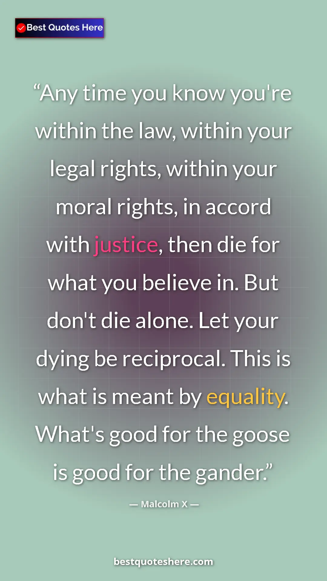 Malcolm X Quote Card: "Any time you know you're within the law, within your legal..." Pinterest quote poster by Malcolm X: "Any time you know you're within the law, within your legal..."