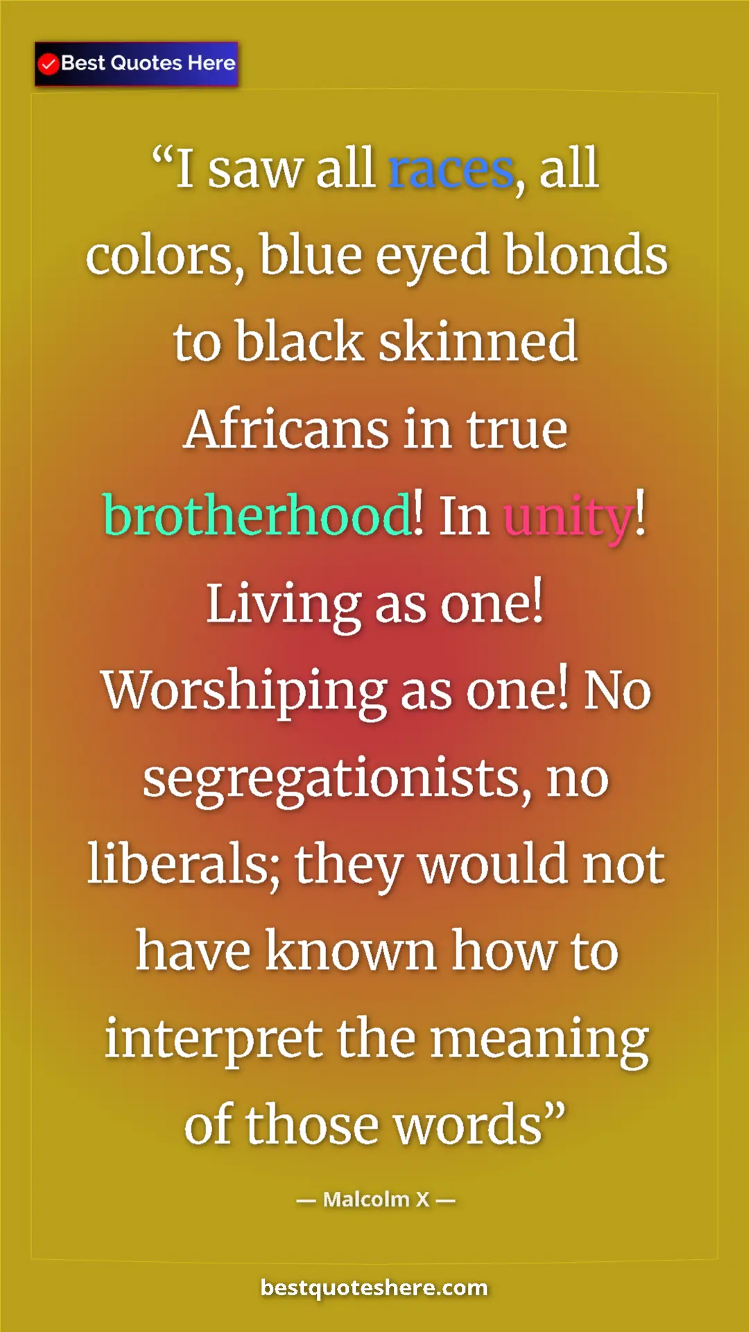 Malcolm X Quote Card: "I saw all races, all colors, blue eyed blonds to black..." Pinterest quote poster by Malcolm X: "I saw all races, all colors, blue eyed blonds to black..."
