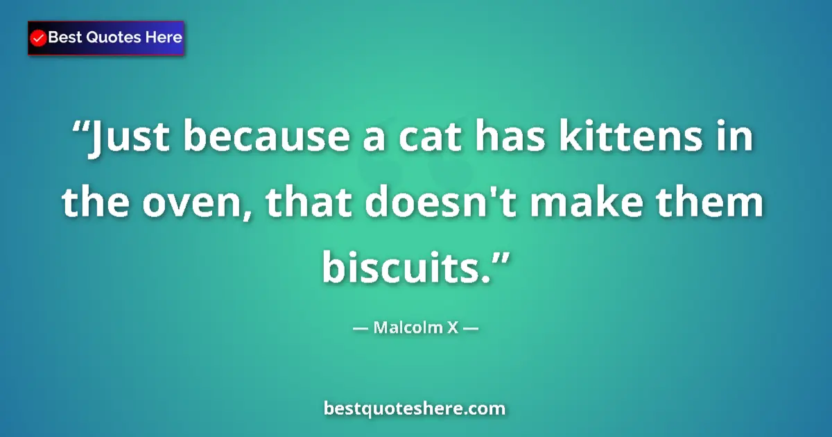 Quote by Malcolm X: Just because a cat has kittens in the oven, that doesn't make them biscuits....