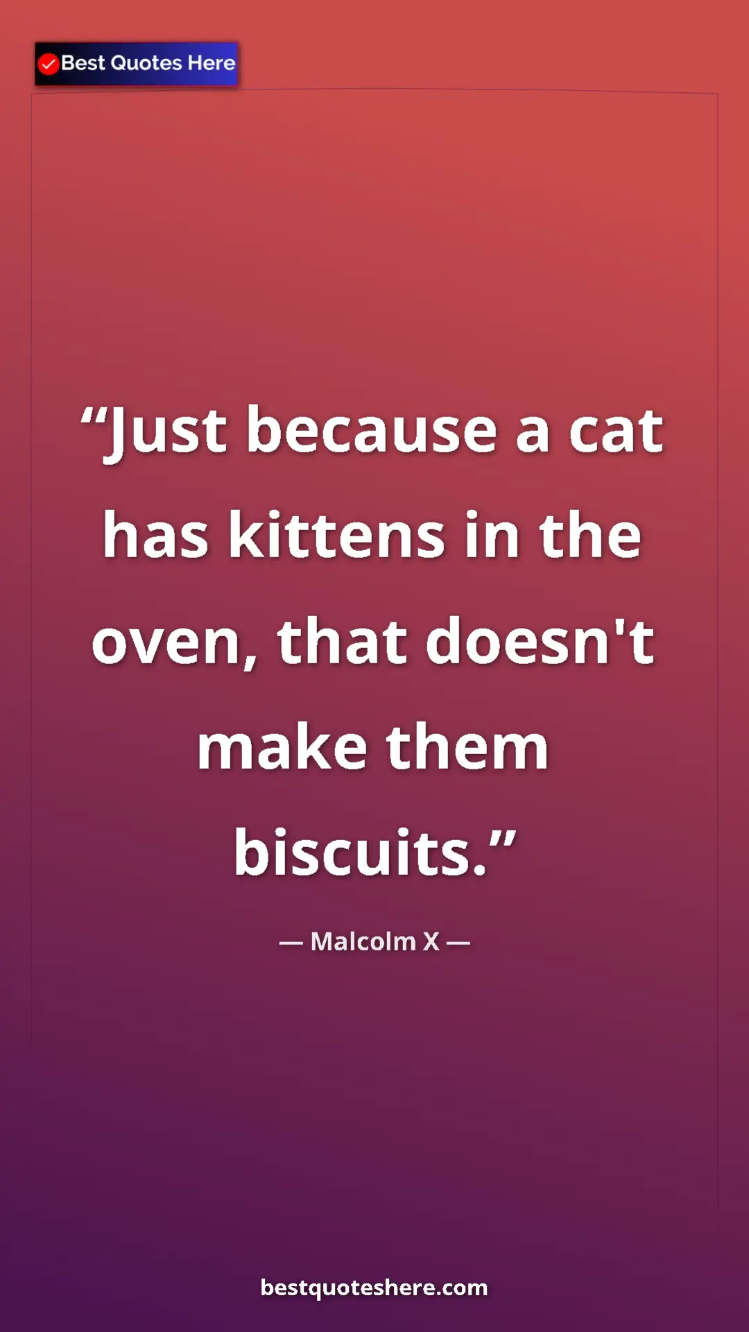 Pinterest quote poster by Malcolm X: "Just because a cat has kittens in the oven, that doesn't..."