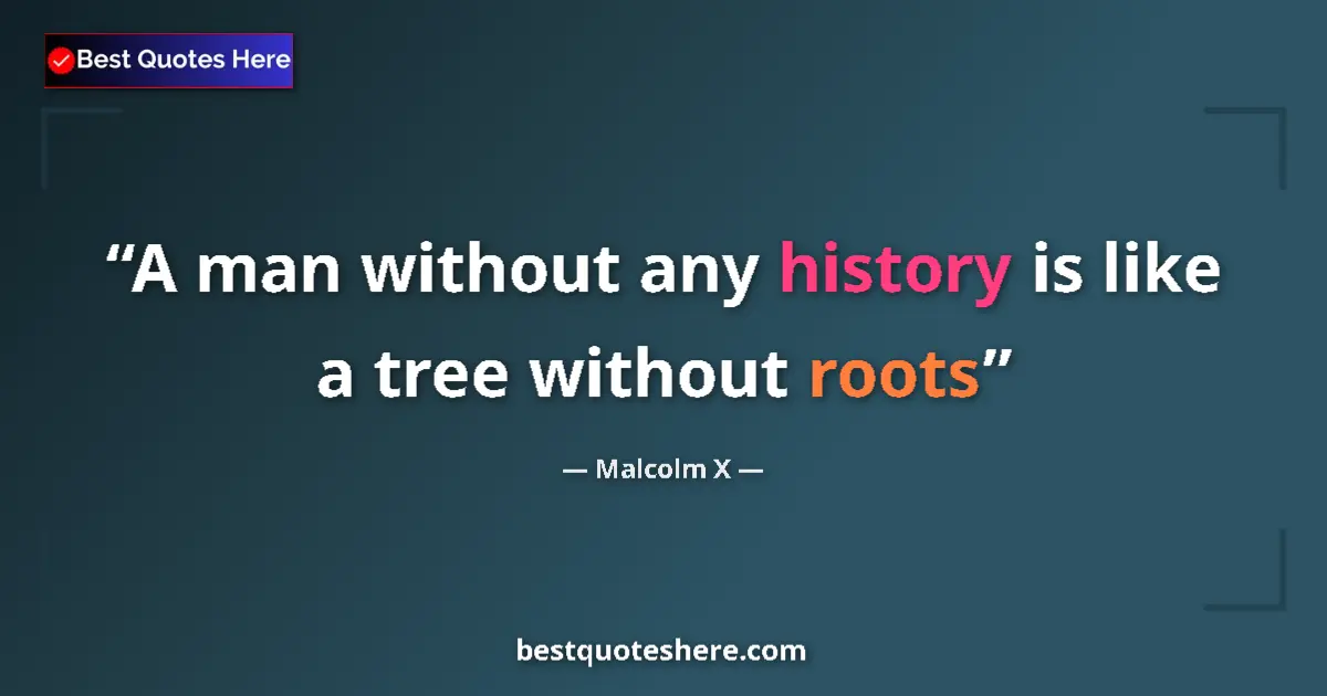 Quote by Malcolm X: A man without any history is like a tree without roots...