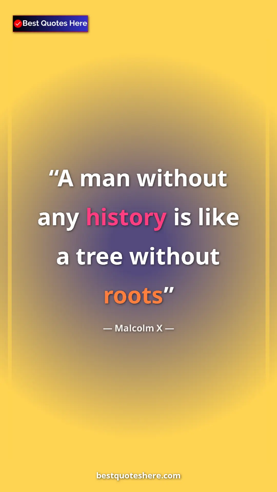 Malcolm X Quote Card: "A man without any history is like a tree without roots" Pinterest quote poster by Malcolm X: "A man without any history is like a tree without roots"