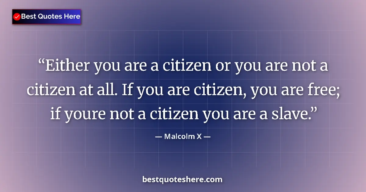 Quote by Malcolm X: Either you are a citizen or you are not a citizen at all. If you are citizen, you are free; if youre...