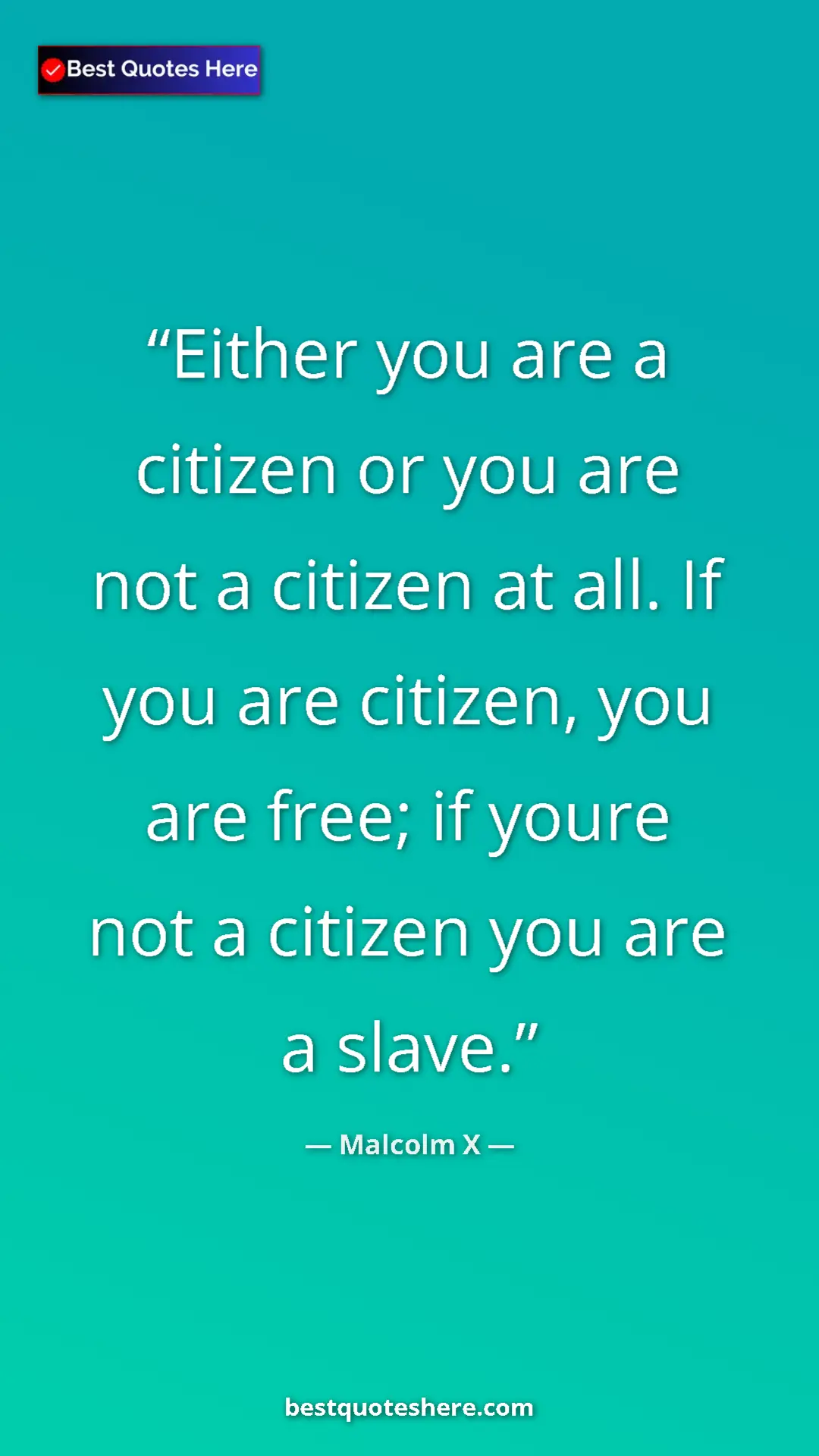 Malcolm X Quote Card: "Either you are a citizen or you are not a citizen at all...." Pinterest quote poster by Malcolm X: "Either you are a citizen or you are not a citizen at all...."