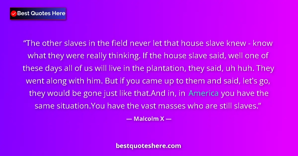 Quote by Malcolm X: The other slaves in the field never let that house slave knew - know what they were really thinking....