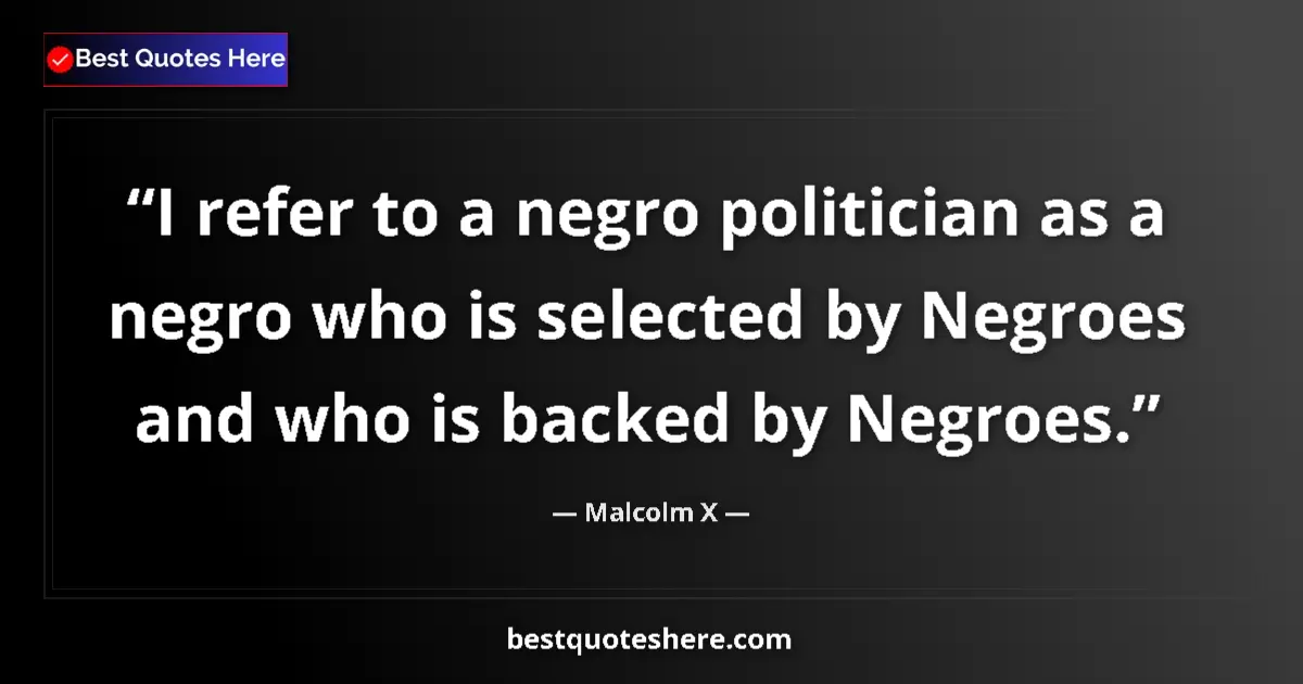 Quote by Malcolm X: I refer to a negro politician as a negro who is selected by Negroes and who is backed by Negroes....