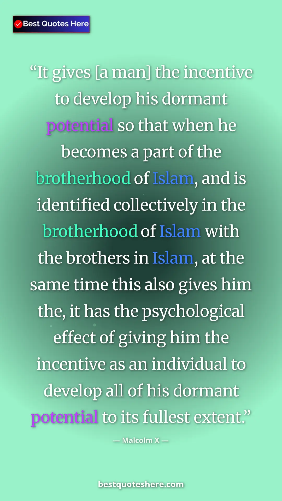 Pinterest quote poster by Malcolm X: "It gives [a man] the incentive to develop his dormant..."