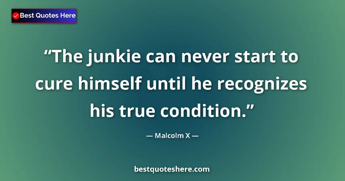 Quote by Malcolm X: The junkie can never start to cure himself until he recognizes his true condition....
