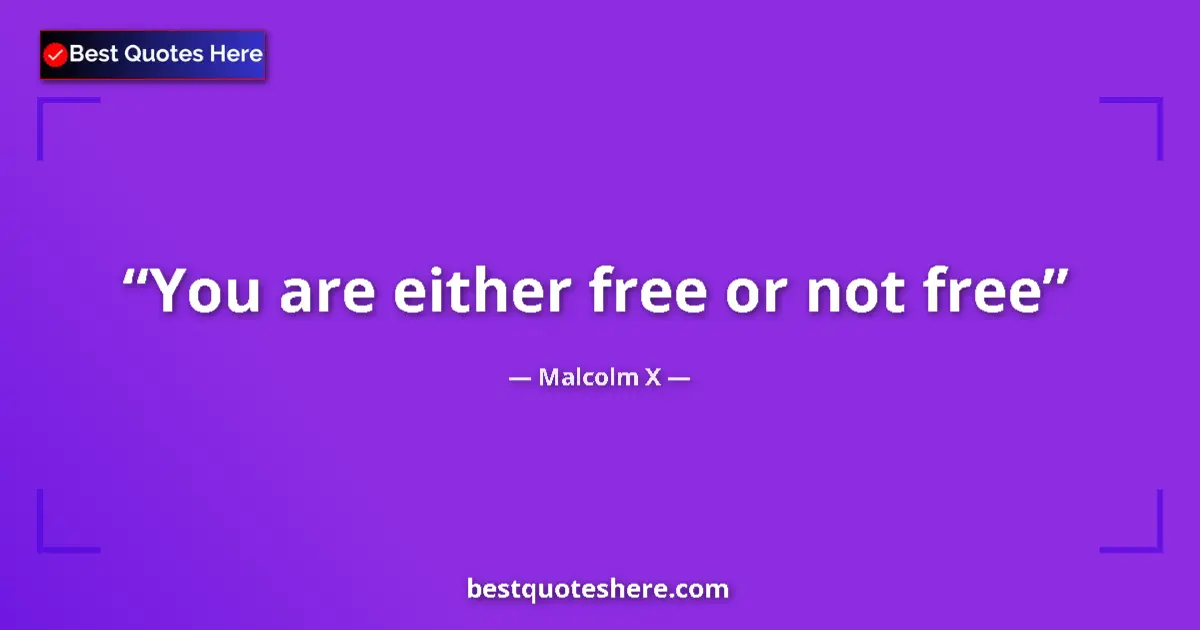 Quote by Malcolm X: You are either free or not free...
