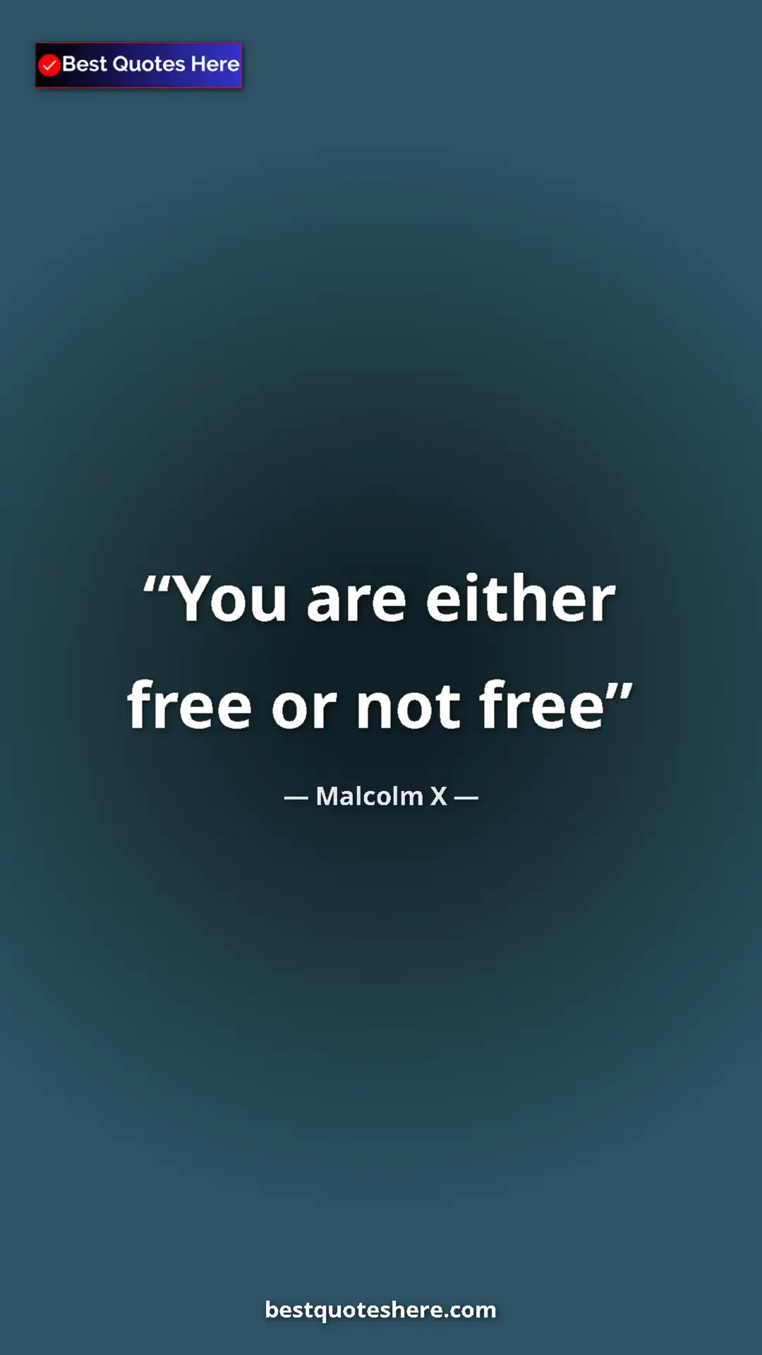 Malcolm X Quote Card: "You are either free or not free" Pinterest quote poster by Malcolm X: "You are either free or not free"